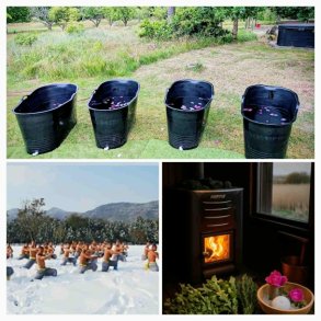 Sndag d. 14 December kl. 10.00 - 12.30 v. Gl. Mlkevej 37A  6857 Blvand